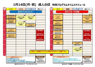 成人の日.jpg